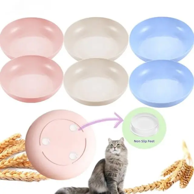 6-Pack Cat Food Bowl with Non-Slip Feet