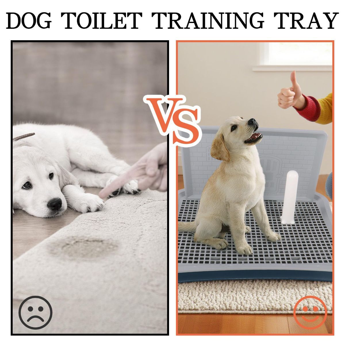 Dog Pee Pad Holder with Pee Pads, Blue image 4