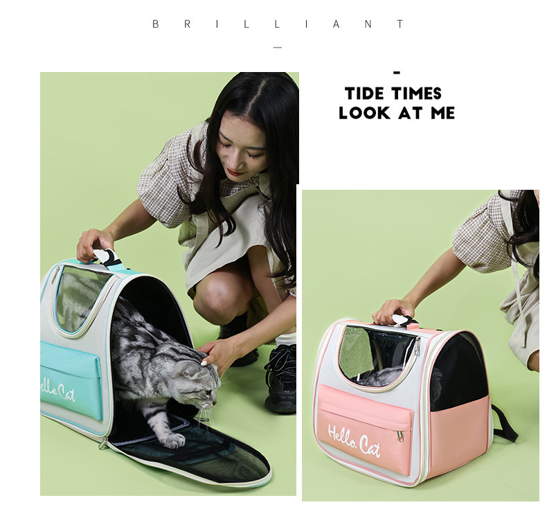 Yellow Transparent Pet Carrier Backpack for Cats and Small Dogs image 4