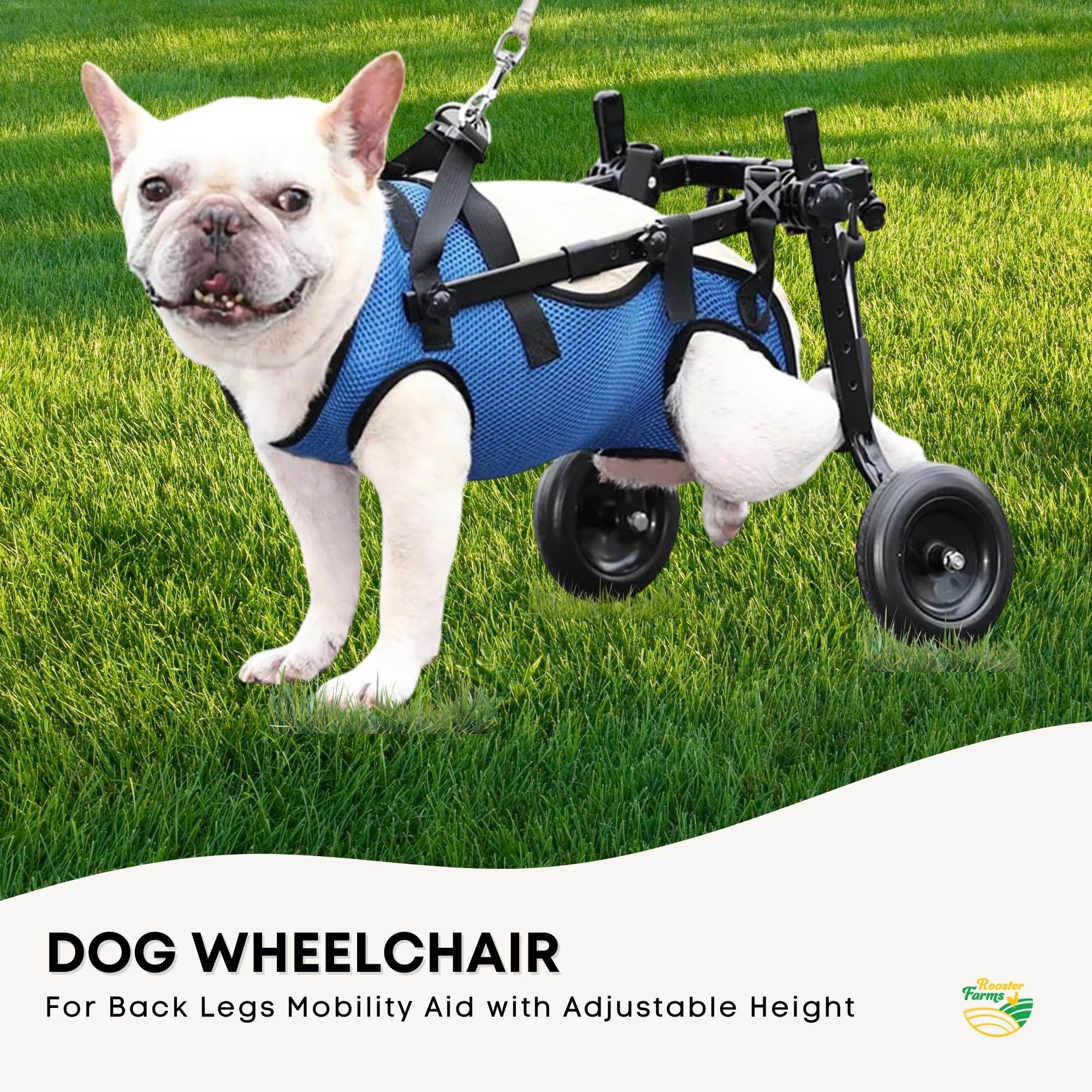 Rooster Farms Little Dog Wheelchair XS Harness - Adjustable Back Leg Aid image 3