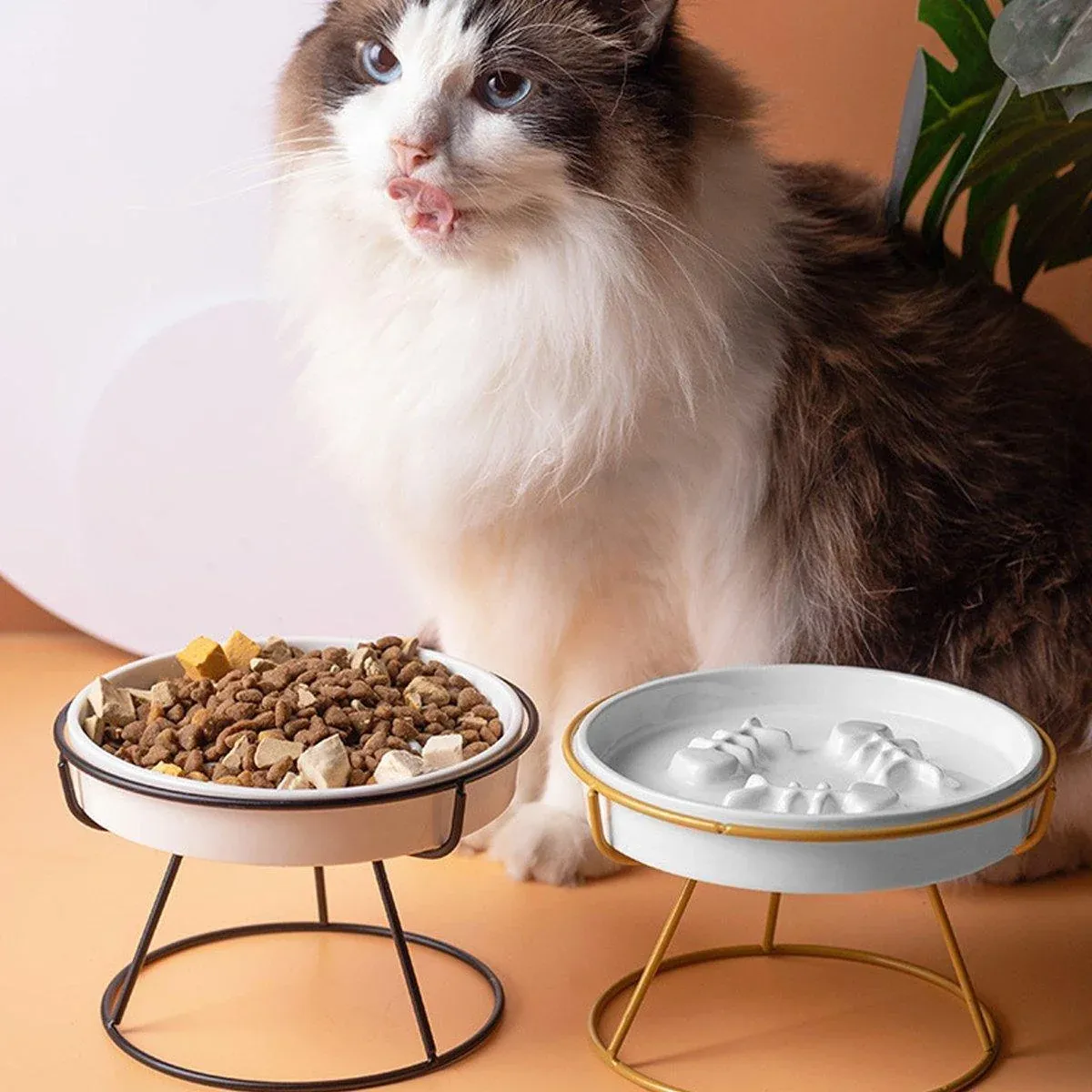 Ceramic Cat Bowl Slow Feeder Pet Food Tray for Cats and Dogs Non Slip Design - Yellow… image 14
