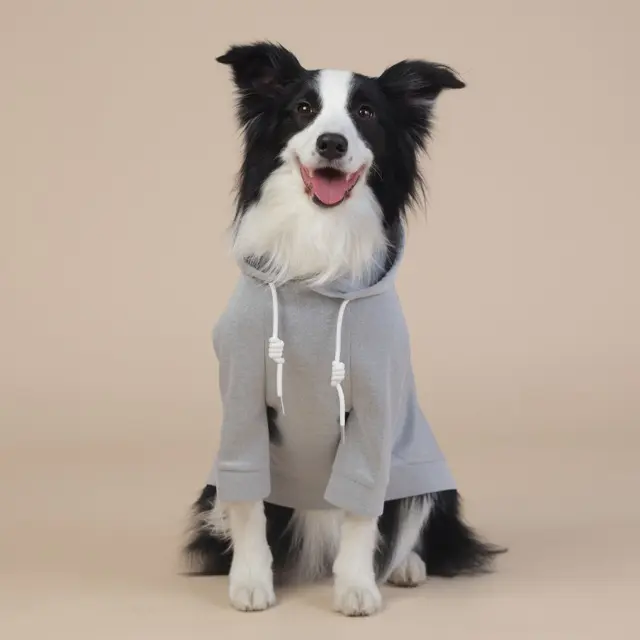 Grey Classic Dog Sweatshirt with Hood & Drawstrings - For Large Dogs (Size : XL)