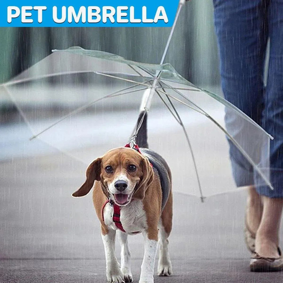 Pet Dog Transparent Umbrella 30 inch Diameter With Dog Leash For Rain Walking Outdoor image 15