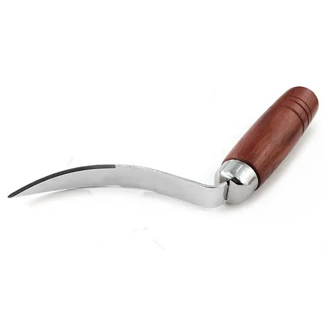 Coconut Tool Coconut Meat Remover Coconut Coconut Opener Coconut Meat Scraper Coconut…