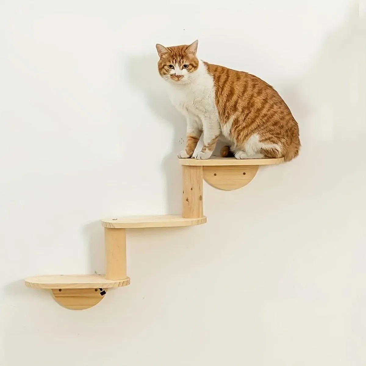 Solid Wood Wall Mounted Cat Climbing Tree Rack Platform Space Capsule Bed Shelf image 10