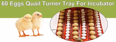 Rooster Farms Electric 60 Egg Incubator + Accessories for Chicken Quail Duck image 7