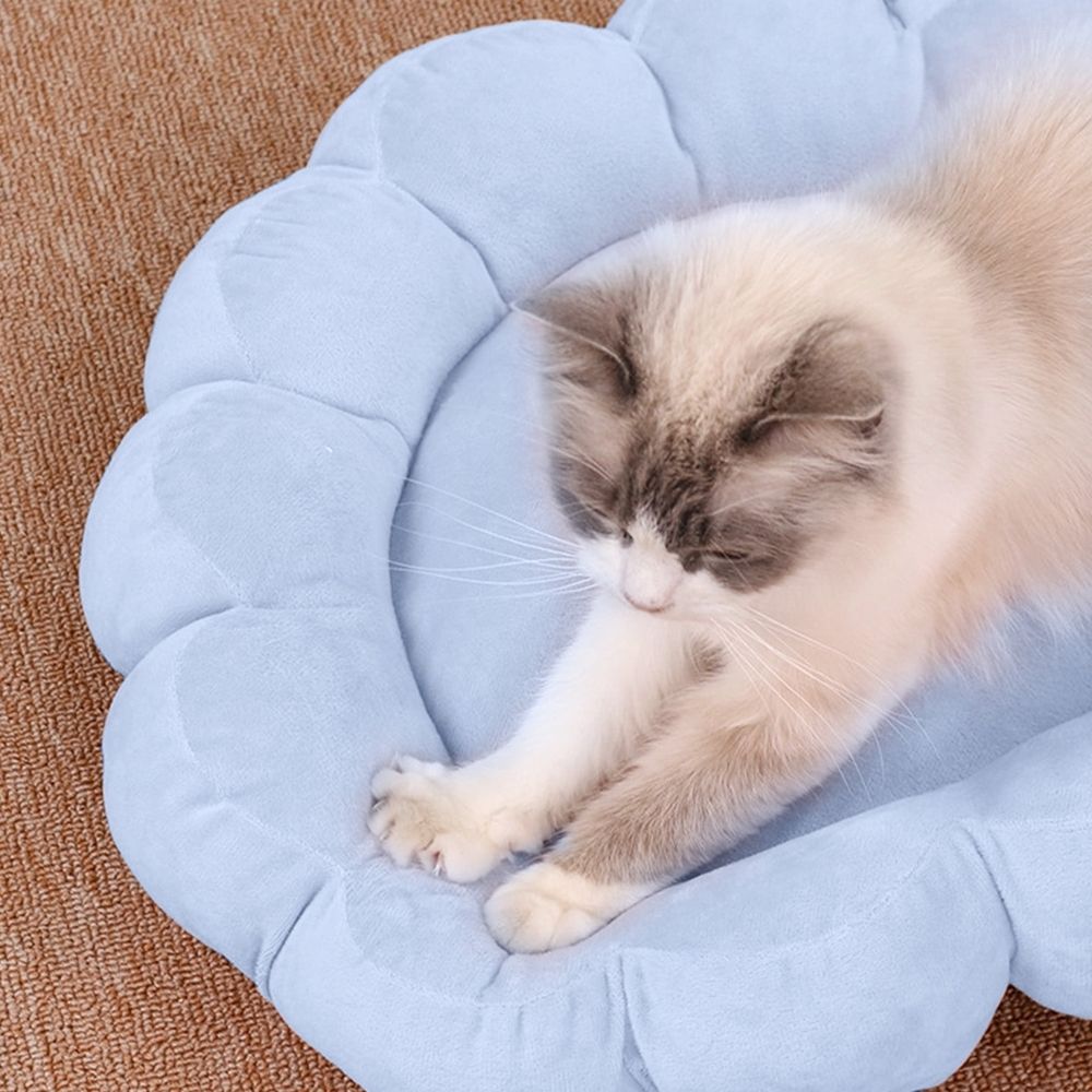 Blue Blue Thickened Fluffy Donut Pet Bed For Small Dogs And Cats Round Warm Sleeping… image 4