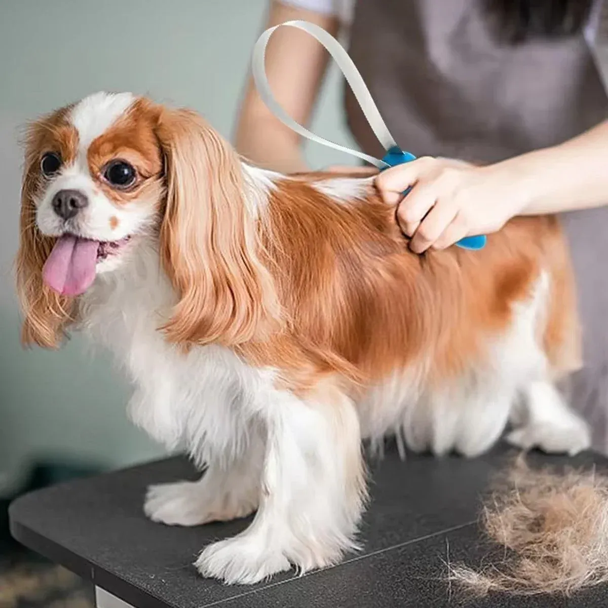1 Dual-Sided Pet Grooming Tool, Blue image 10
