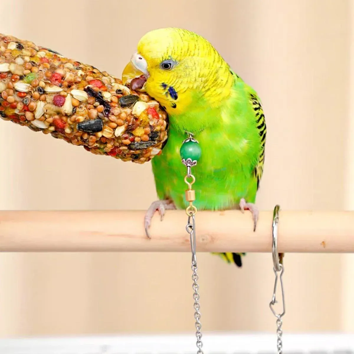 Parrot Neck Collar Stainless Steel Bird Chain Training Adjustable Bird Leash… image 10
