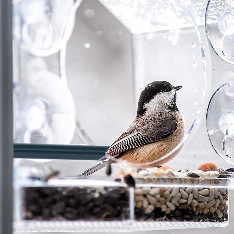 Clear Acrylic Window Bird Feeder with Strong Suction Cups and Removable Seed Tray image 8