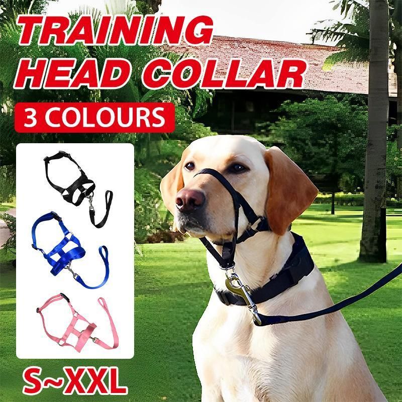 Pink Dog Training Head Collar Halter Stop Pulling Training Tool Harness Strap Leader… image 2