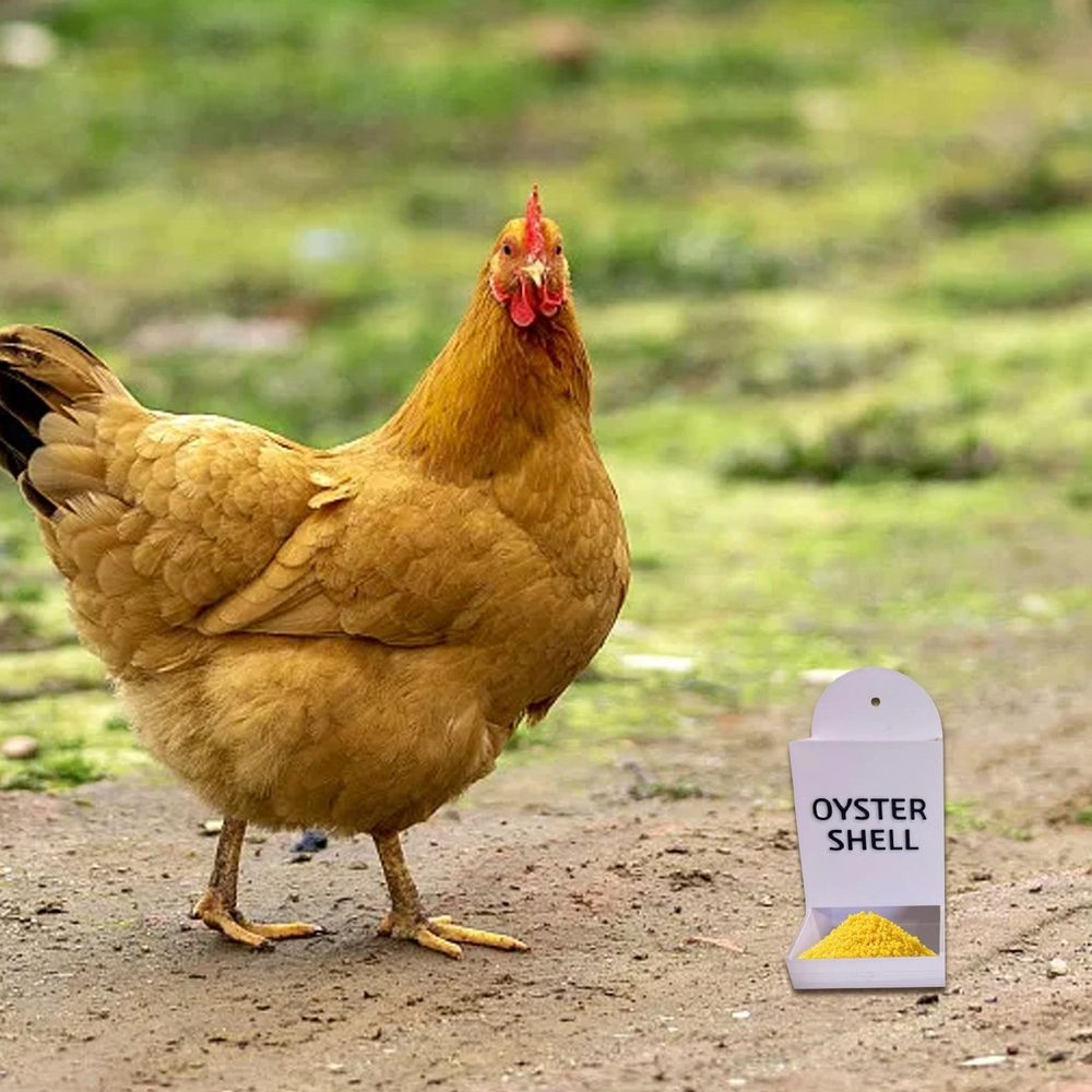 Automatic Shell & Grit Feeder - Metal Hanging Poultry Feeder Trough for Hens image 3