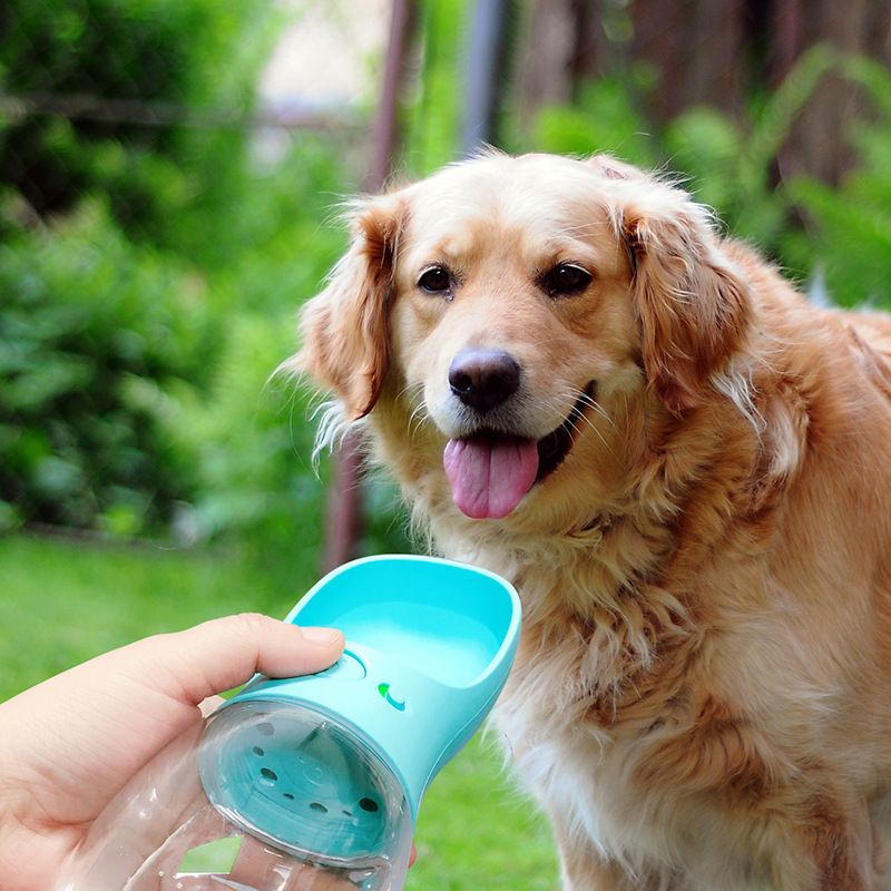 Portable Dog Water Bottle for Walking image 3