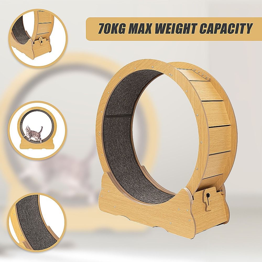 Cat Running Wheel w/ Carpet Runway Cat Exercise Wheel for Fitness Cat Treadmill image 5