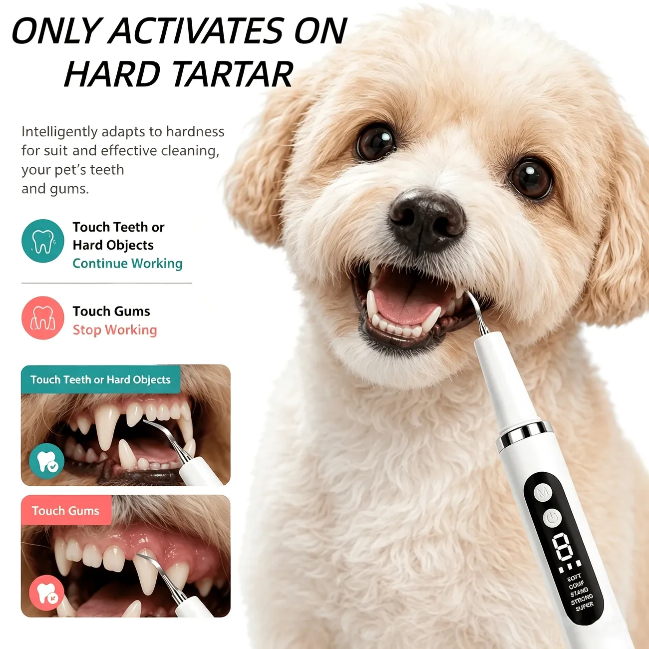Pet Electric Ultrasonic Tooth Cleaner – USB Rechargeable image 5