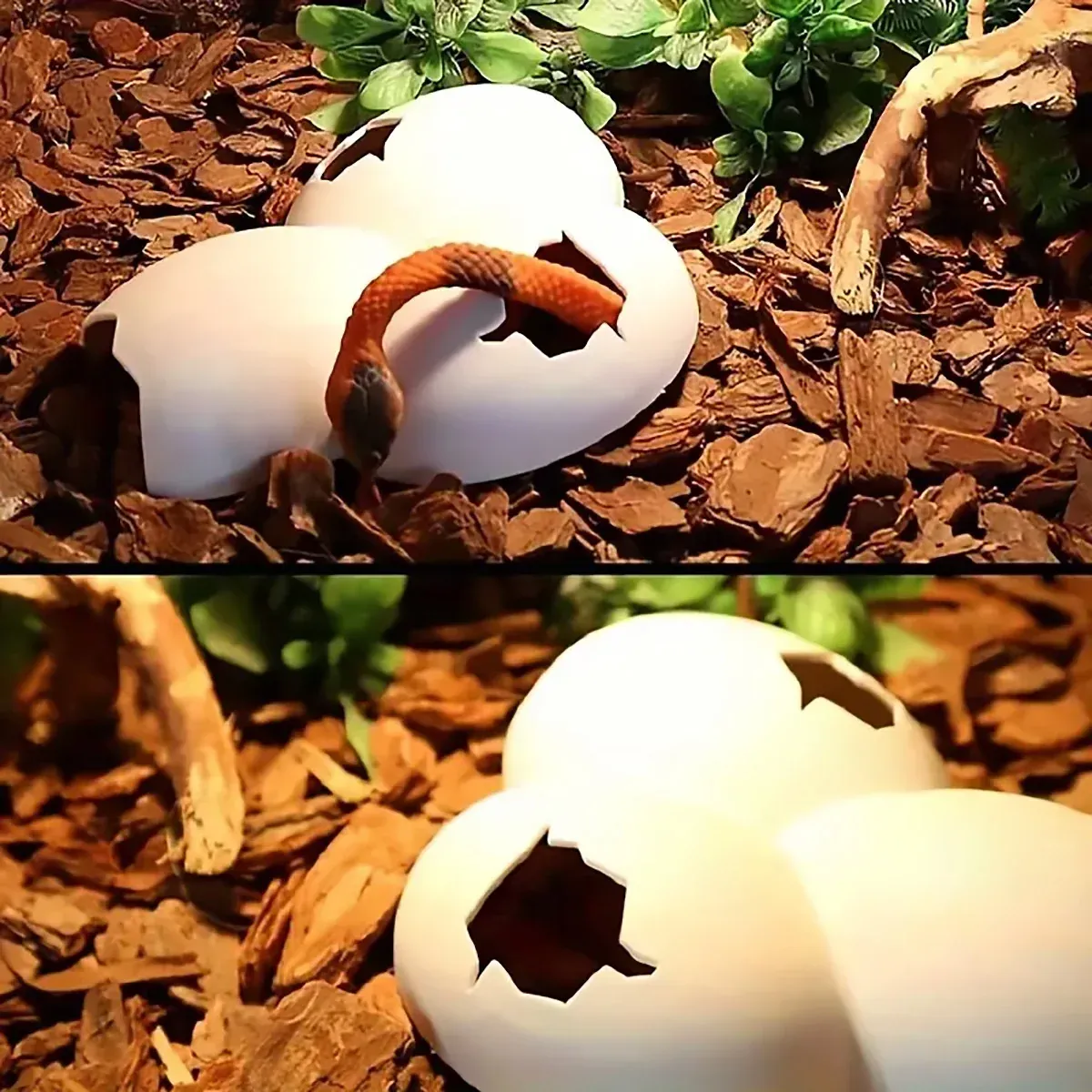 Reptile Hideout Plastic Cave Decorative Shelter for Lizard Snake Spider Habitat - Tree… image 5