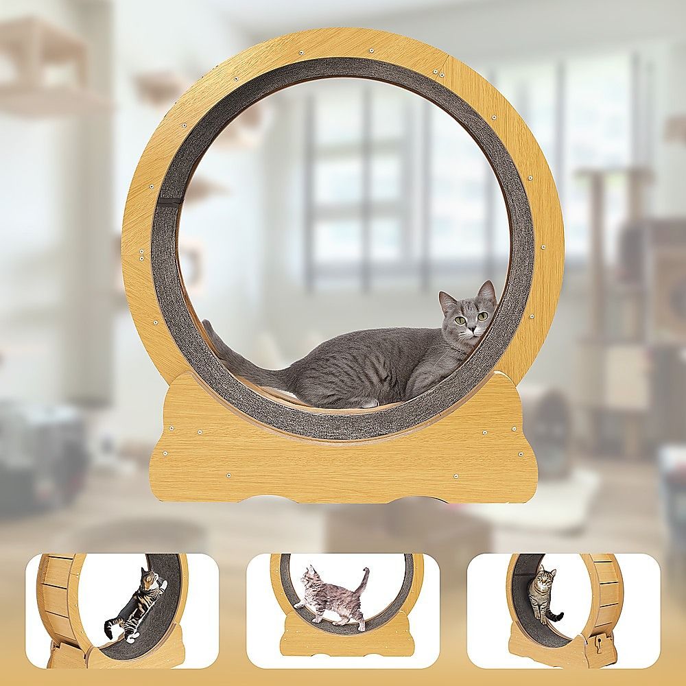 Cat Running Wheel w/ Carpet Runway Cat Exercise Wheel for Fitness Cat Treadmill image 8
