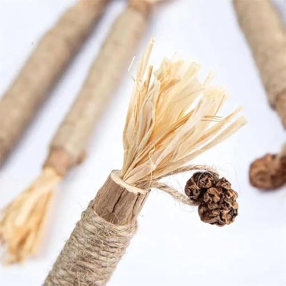 Natural Dental Sticks Sticks for Cats image 5