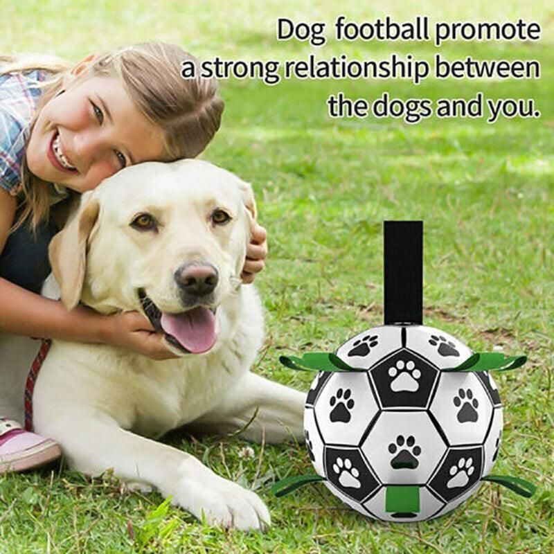 Interactive Pet Football Dog Toys Grab Tabs Outdoor Training Soccer Chew Balls image 11
