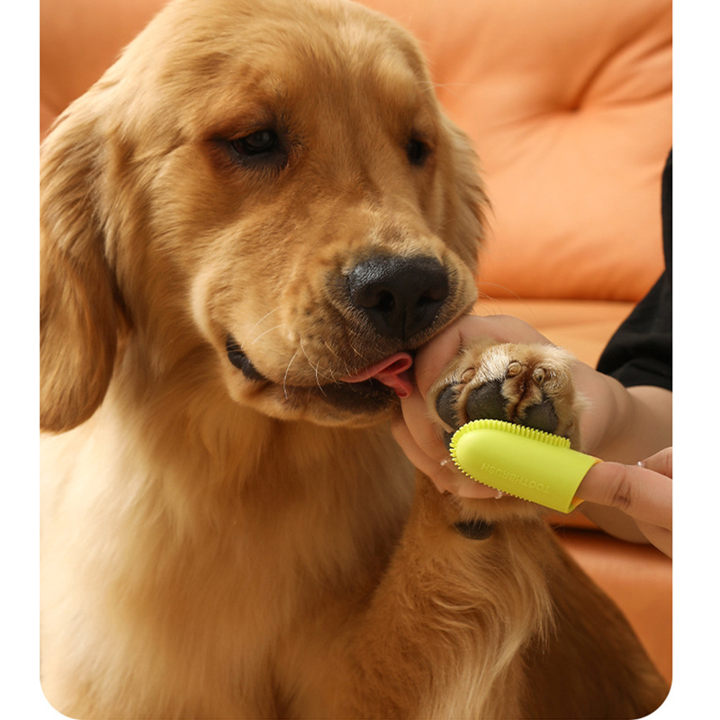 Pet Finger Toothbrush, Soft Silicone Dog and Cat Oral Cleaning Tool with Handle - White image 6