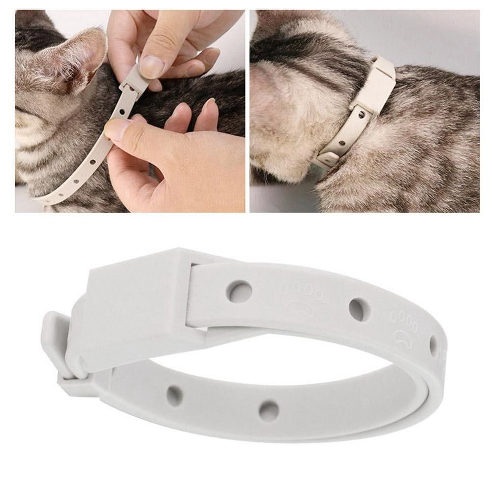 Pet Essential Oil Collar For Mosquito Insect Repellent,ashable Cat Collar image 5