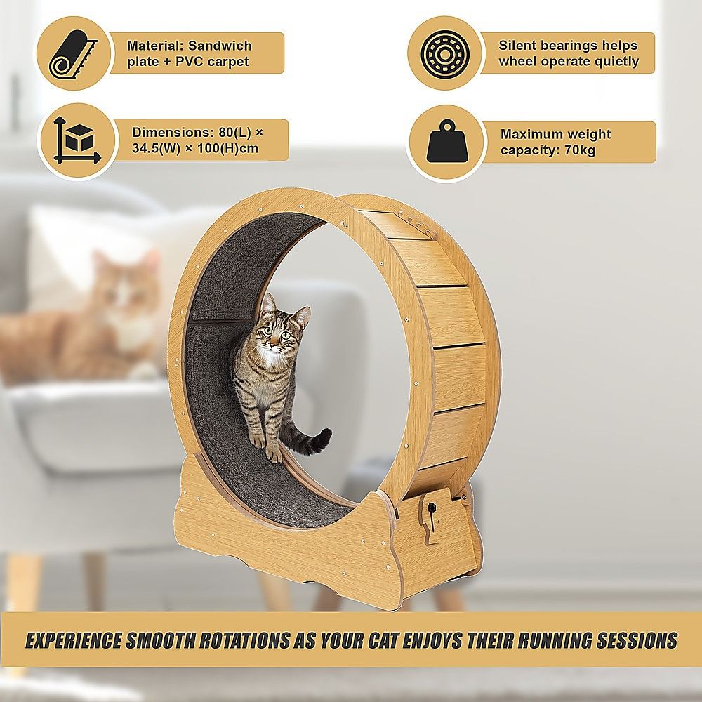 Cat Running Wheel w/ Carpet Runway Cat Exercise Wheel for Fitness Cat Treadmill image 6