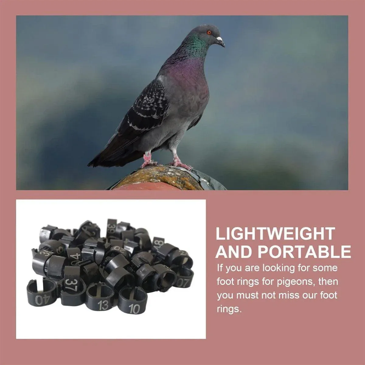 100X 001-100 Digital Numbered Bird Leg Band Rings Clip For Pigeon Parrot Poultry - Red image 7
