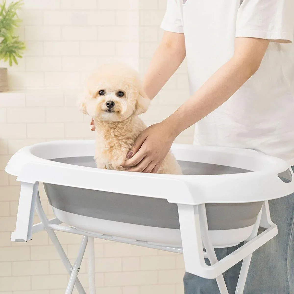 Pet Bath Tub Elevated Stand for Cats and Puppies Portable Bathing Tub for Pets image 14