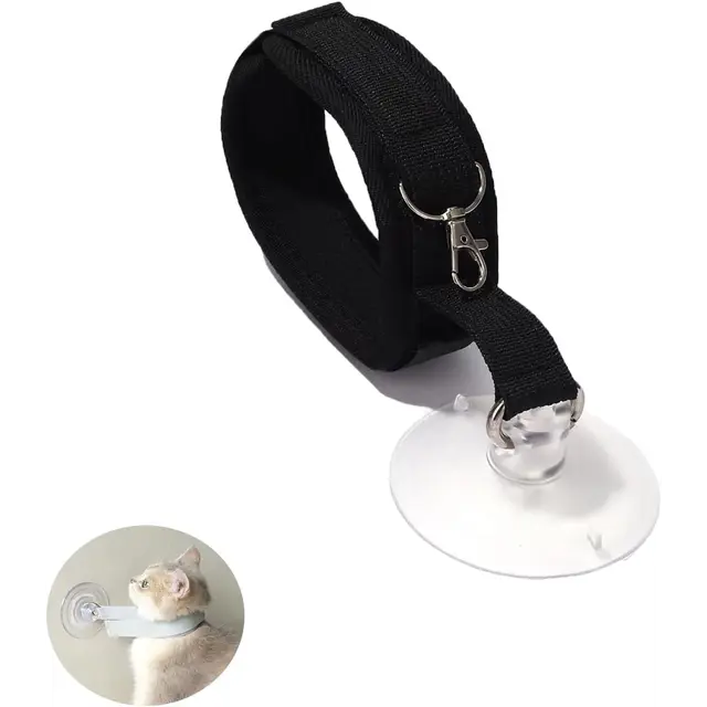 Dog leash - Cat leash - Coat care - Dog accessories - Cat accessories - Grooming table…