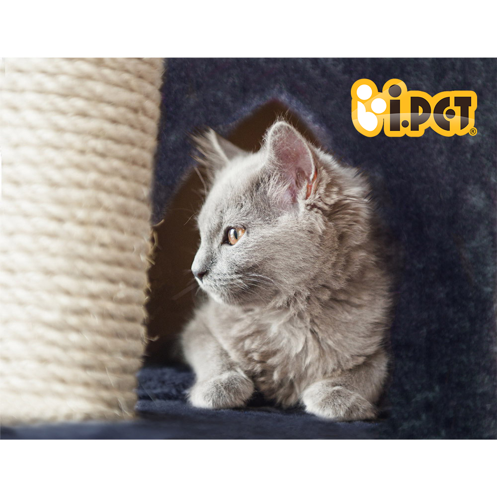 i.Pet Cat Tree 244cm Tower Scratching Post Scratcher Trees Condo House Grey image 6