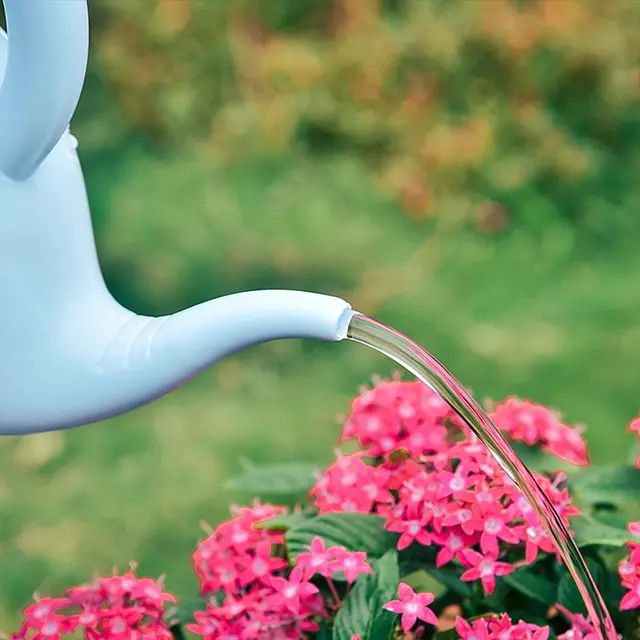 Blue Elephant Watering Can