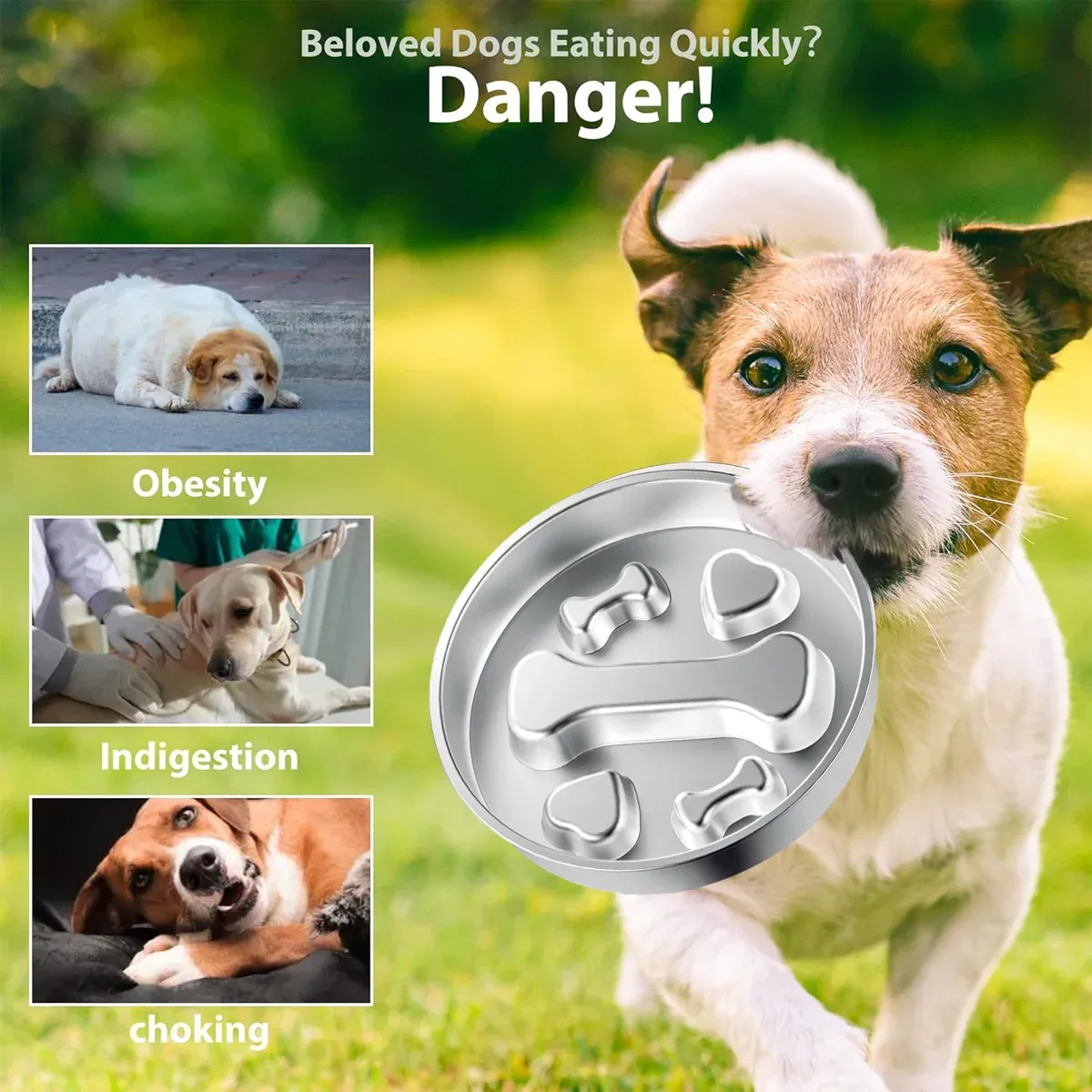 Large Capacity Stainless Steel Pet Slow Feeder Bowl Non-Slip Anti-Spill Durable image 9
