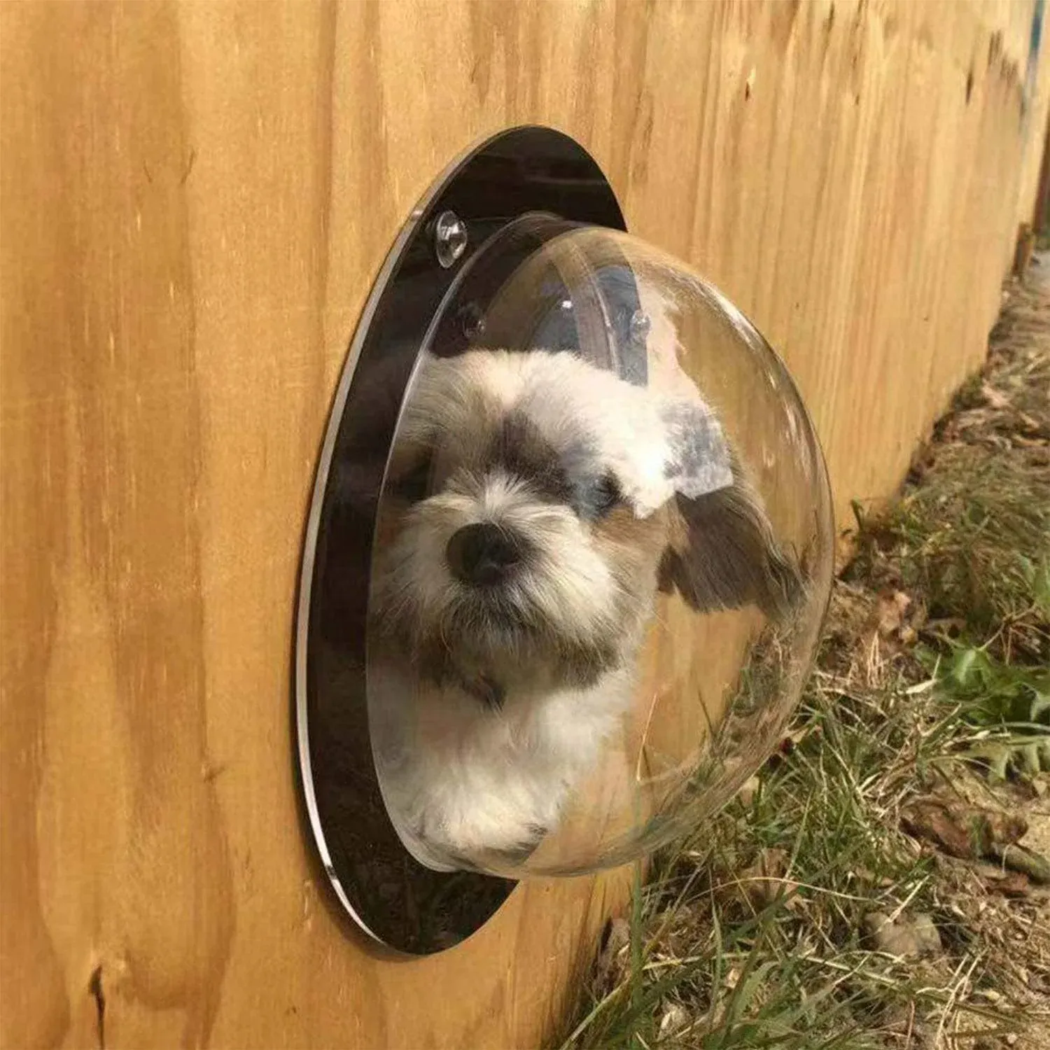 Dog Porthole Window Round Transparent for Fence Pet Peek Look Out Durable Dome image 14