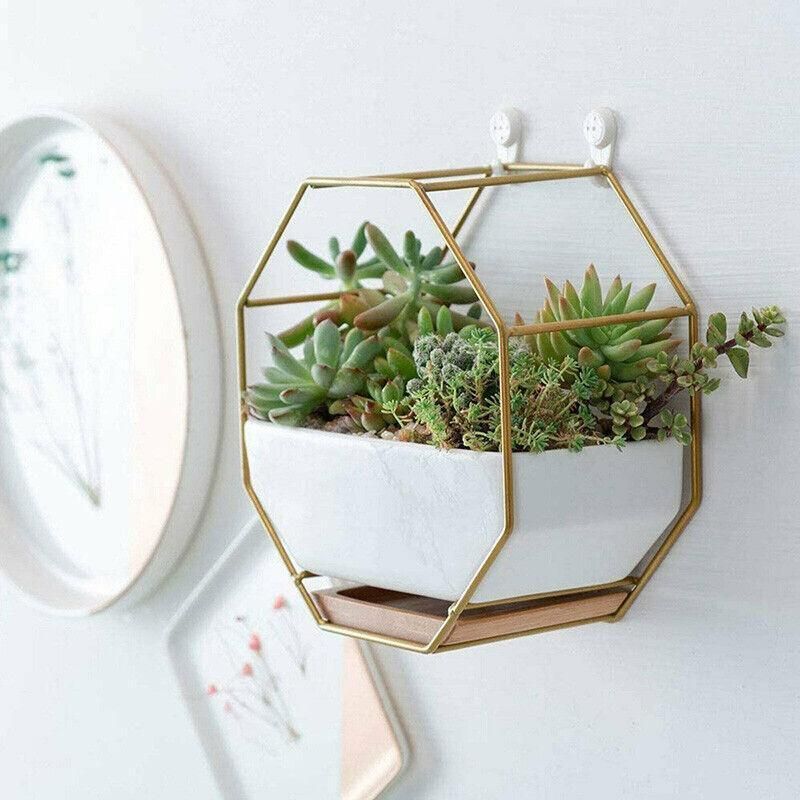 Wall Hanging Succulent Planter Pot Indoor Outdoor Flower Plant Vase Garden Decor - Gold image 7