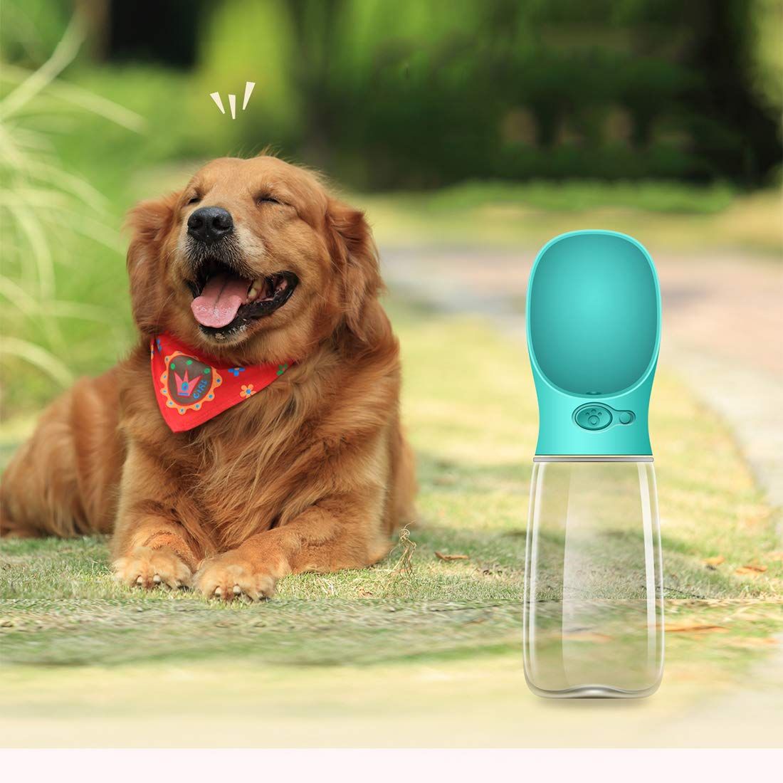 Portable Dog Water Bottle for Walking image 4