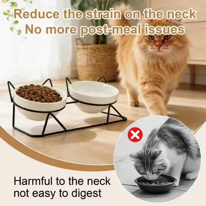15 Degree Raised Ceramic Cat Bowl Set image 4