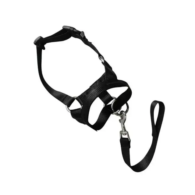Black Dog Training Head Collar Halter Stop Pulling Training Tool Harness Strap Leader…