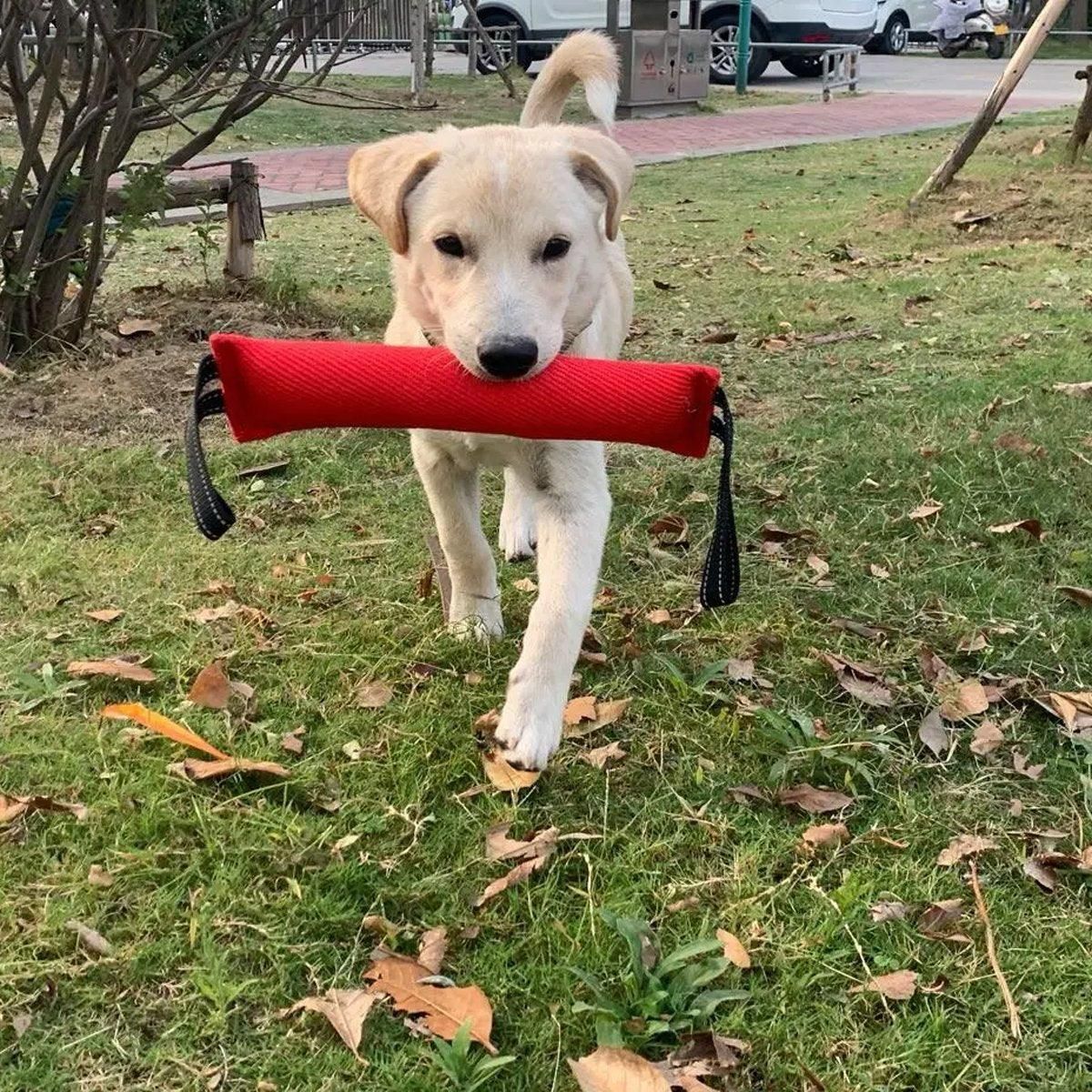 Cloth Bite Stick Teether Dog Training Bite Stick Durable Chew Toy for Pets image 5