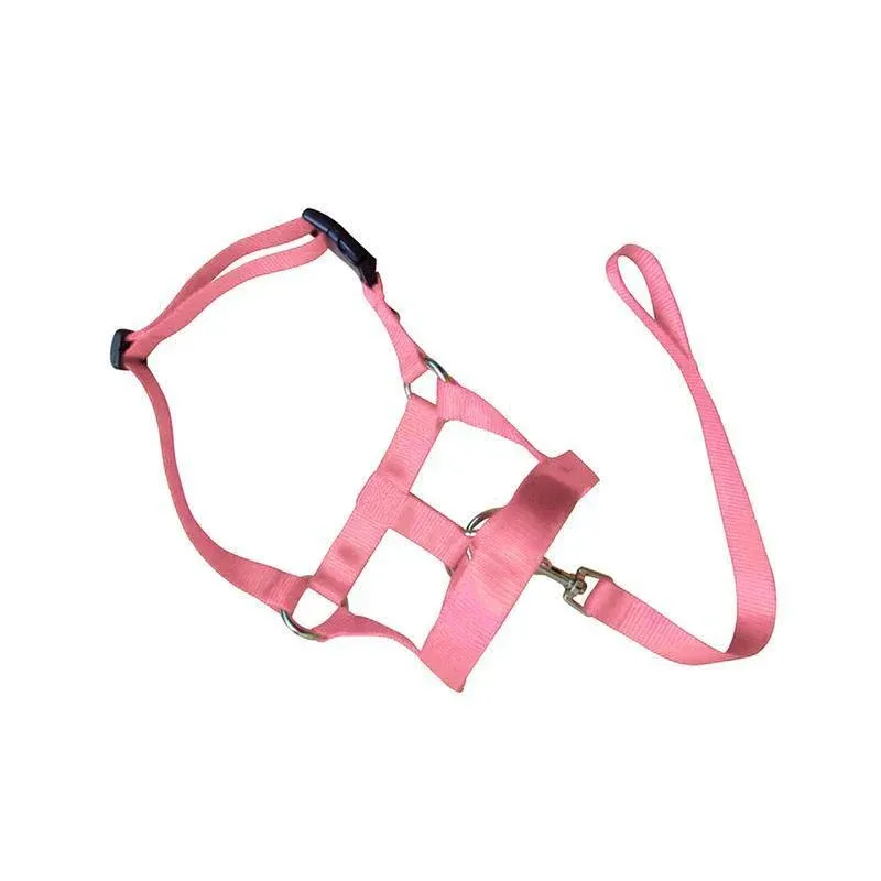 Pink Dog Training Head Collar Halter Stop Pulling Training Tool Harness Strap Leader… image 12