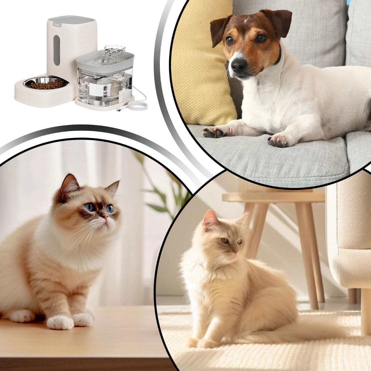 Automatic Cat Feeder and Water 2-in-1 Pet Automatic Fountain Food Bowl Spill-Proof Cat… image 5