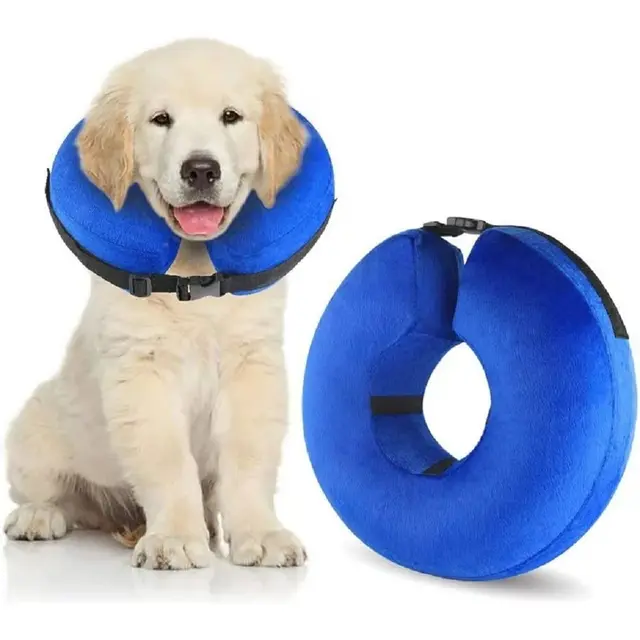 Protective Inflatable Cone Collar for Dogs and Cats