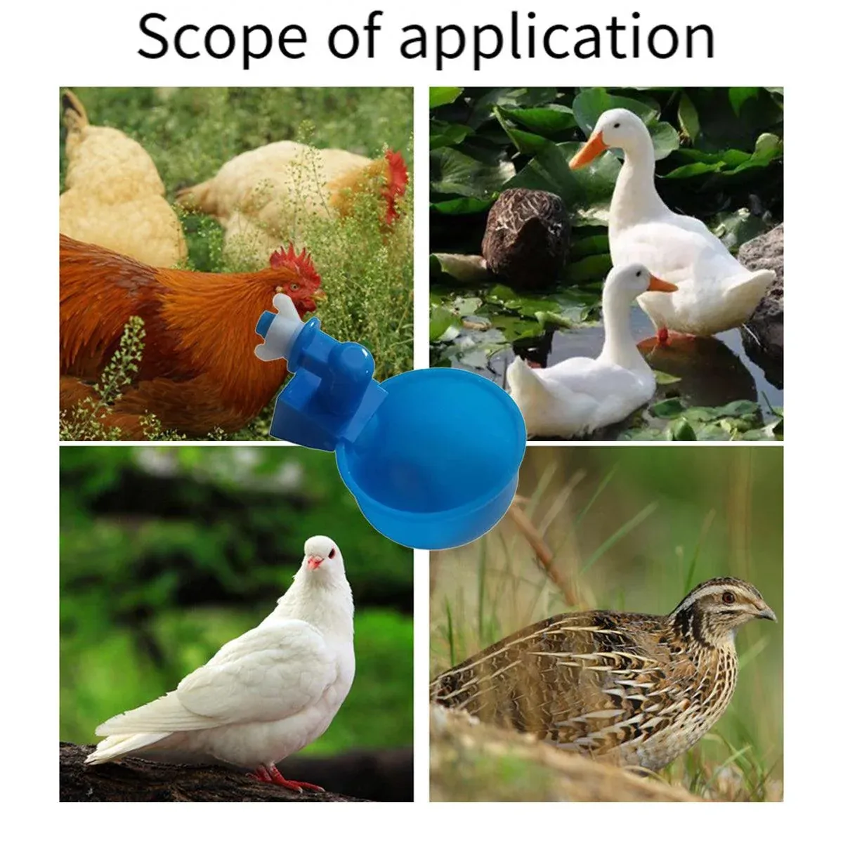 6pcs Chicken Drinking Bowl Poultry Waterer Feeder Automatic Drinking Cups Coop image 4