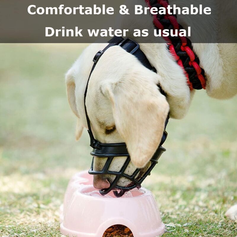 Dog Muzzle with Breathable Mesh and Nylon Headband for Small Medium and Large Dogs, L image 2