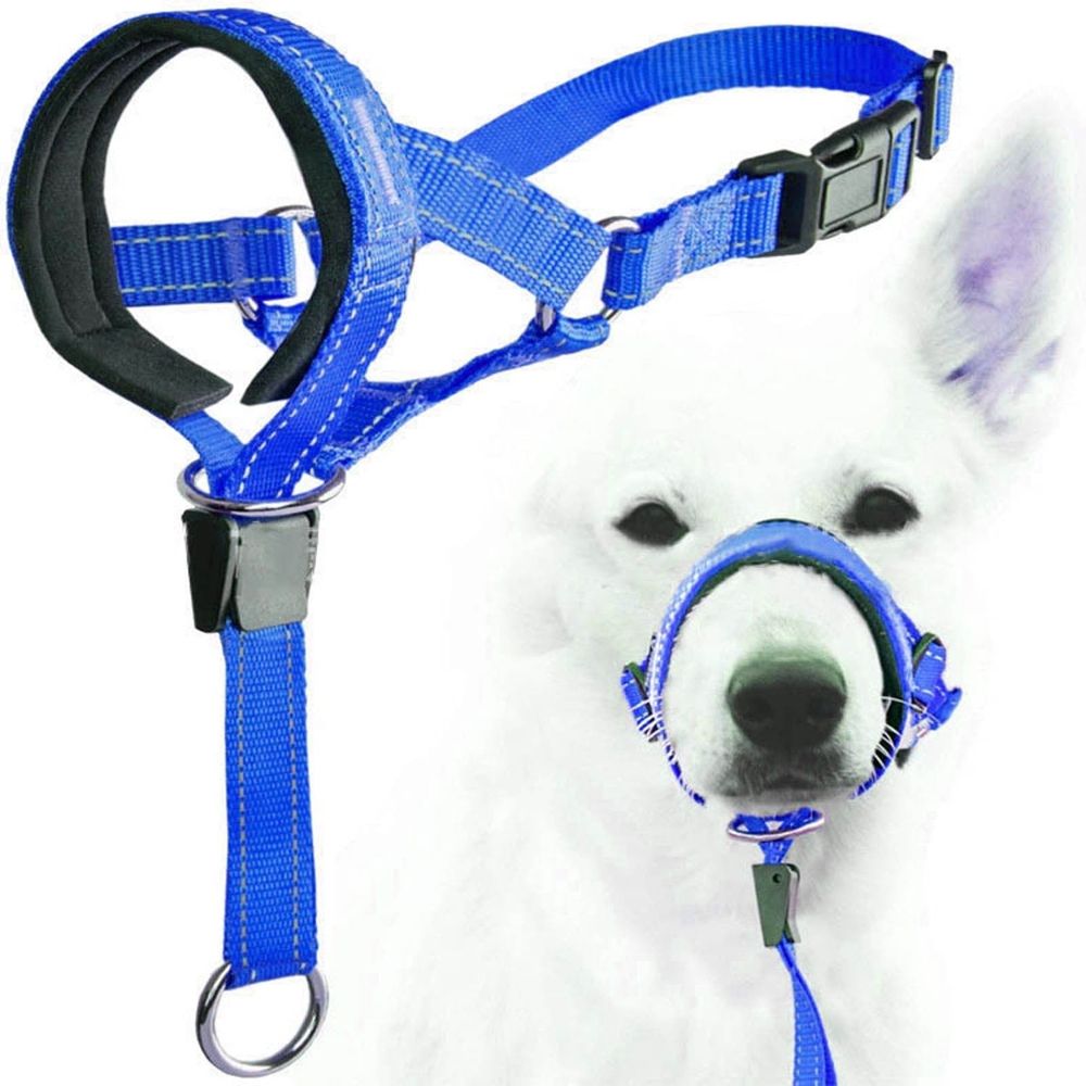 No Pull Dog Head Collar - Soft Padded Head Halter with Safety Link & Adjustable Muzzle… image 4