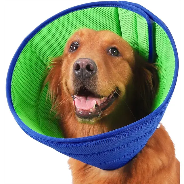 Extra Soft Dog Cone for Dogs After Surgery, M