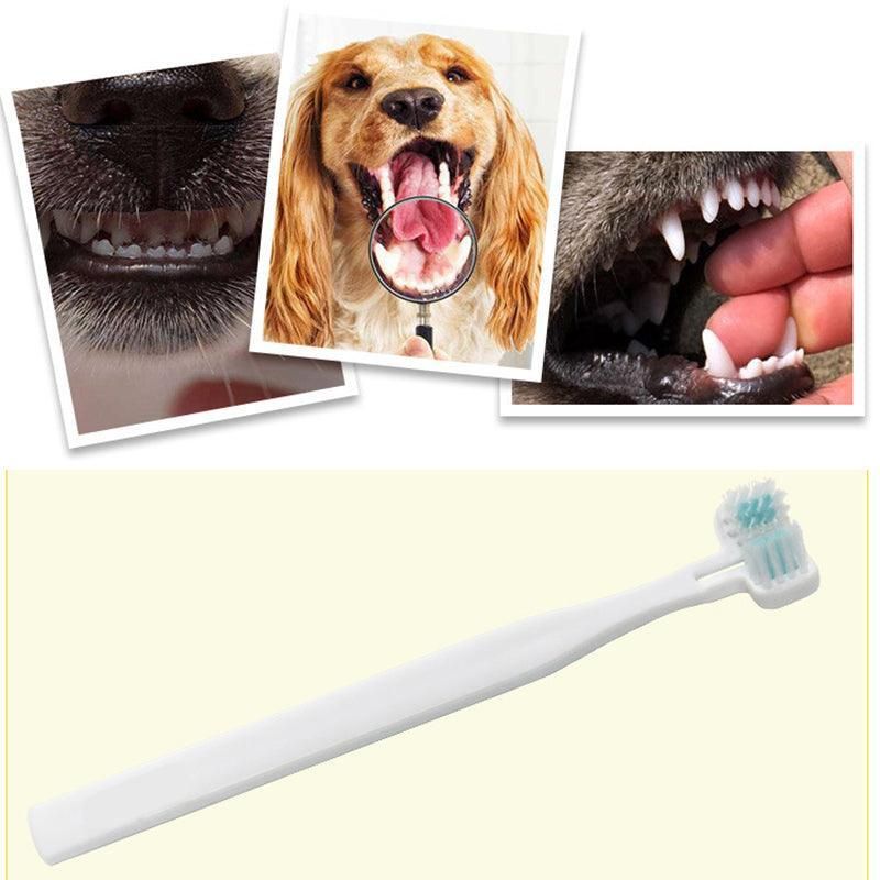 Double Head Toothbrush Dog Pet Cat Brush Dental Health Gum Care Cleaning Teeth image 10