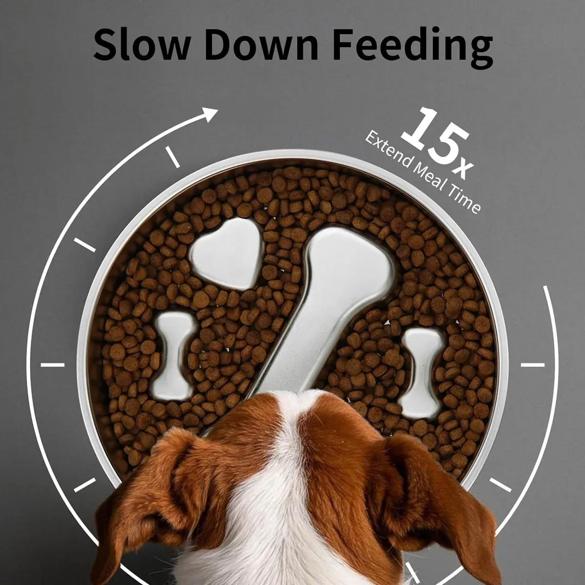 Large Capacity Stainless Steel Pet Slow Feeder Bowl Non-Slip Anti-Spill Durable image 11