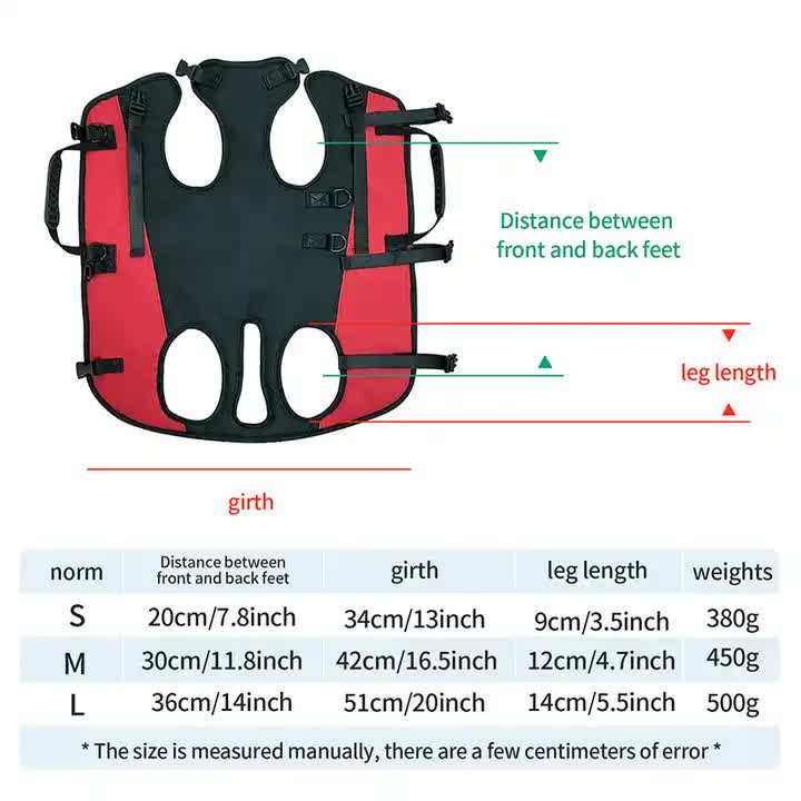 L Blue Multifunctional Pet Backpack with Adjustable Straps image 5