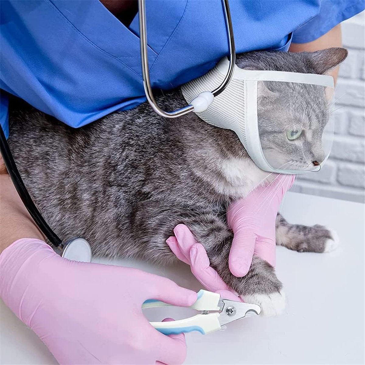 Breathable Pet Headgear Clear Cat Dog Mask Anti Bite Scratch Protective Gear - M image 12