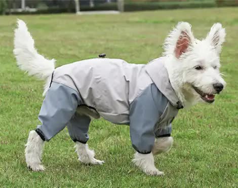 Waterproof Dog Raincoat with Hidden Leash Hole - Windproof and Comfortable…, Grey, M image 2